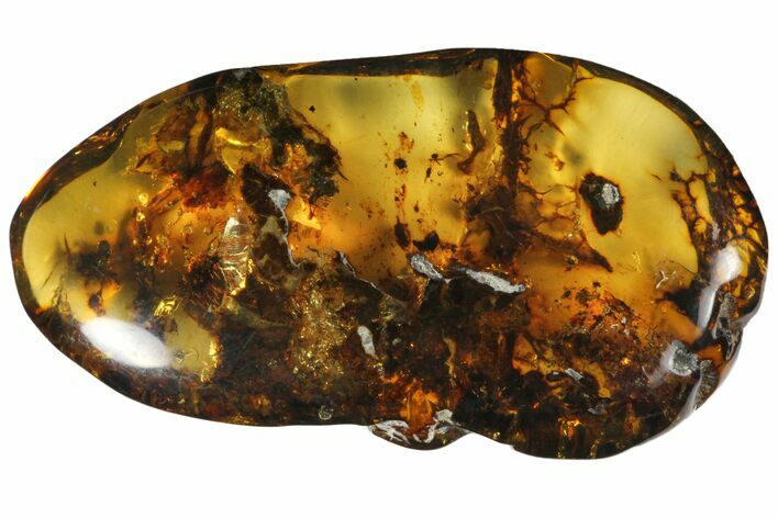 Polished Chiapas Amber ( g) - Mexico #114941